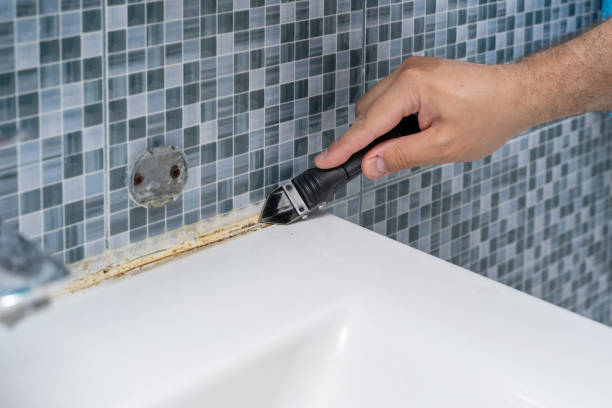 Best Commercial Mold Removal  in Carlyss, LA